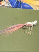 IMG_5894.jpeg