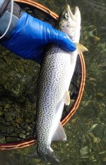 IMG_1002.jpeg