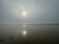 IMG_5149.jpeg