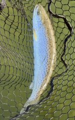 IMG_0211.jpeg