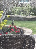 IMG_5150.jpeg
