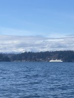 IMG_8819.jpeg