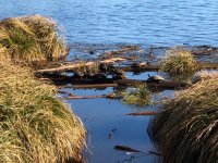 IMG_8759.jpeg