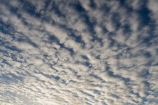 016-clouds-022425.jpg 016-clouds-022425.jpg