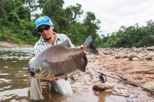 18 Pacu.jpg