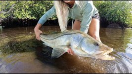 26 snook.jpg