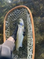 IMG_8844.jpeg