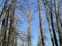 IMG_4309.jpeg