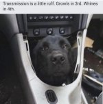 IMG_0961.jpeg