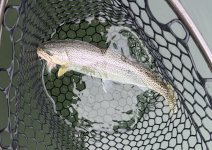 IMG_5932.jpeg