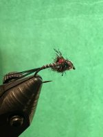 IMG_5908.jpeg