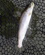 IMG_1087.jpeg