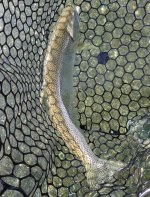 IMG_1098.jpeg