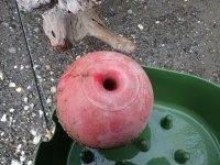 IMG_1085.jpeg IMG_1085.jpeg