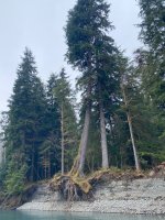 IMG_4972.jpeg