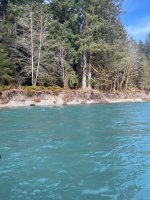 IMG_4967.jpeg