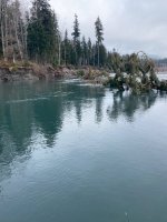 IMG_4975.jpeg