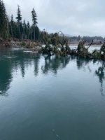 IMG_4974.jpeg