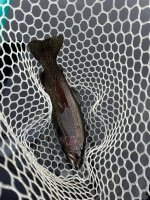 IMG_4770.jpeg