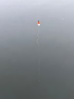 IMG_7390.jpeg