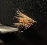 IMG_4316.jpeg