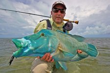 21 NapoleaonWrasse_Main.jpg