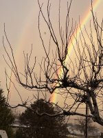 IMG_5170.jpg