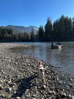 IMG_1931.jpeg