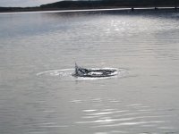 Lake Lenice Bow 2009.jpg