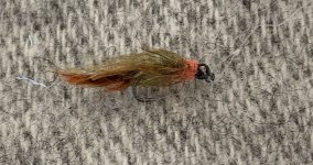 IMG_5181.jpg