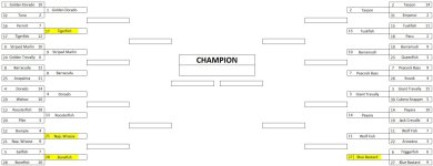 Bracket 1st Round.jpg Bracket 1st Round.jpg