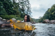 1GoldenDorado2.jpg