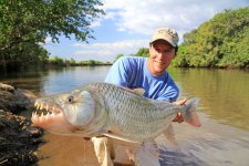 17 Tigerfish.jpg