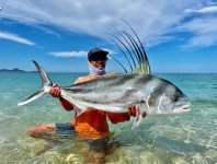 13 Roosterfish.jpg