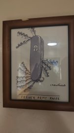 IMG_6795.jpg