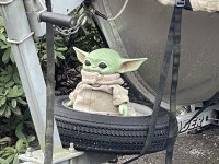 IMG_8368.jpeg IMG_8368.jpeg