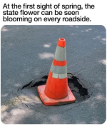 1741389723815.png