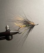 IMG_4311.jpeg