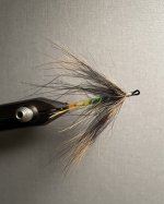IMG_4310.jpeg