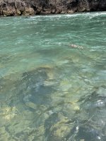 IMG_4329.jpeg