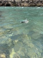 IMG_4328.jpeg