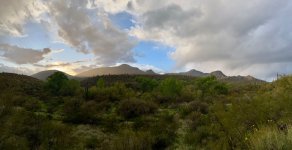 IMG_2891.jpeg