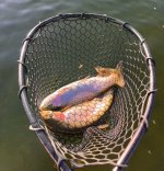 IMG_0973.jpeg