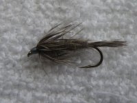 Muskrat Nymph.jpg Muskrat Nymph.jpg