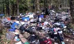 everett-homeless-cleanup-before.jpg
