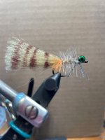 IMG_2331.jpeg