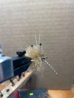 IMG_2330.jpeg