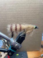 IMG_2328.jpeg