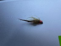 IMG_5190.jpg IMG_5190.jpg