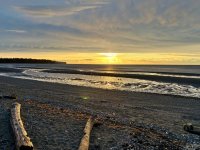 IMG_1013.jpeg